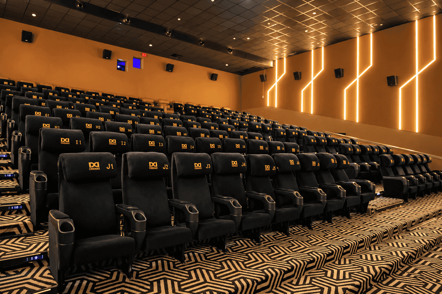 Auditorium & Screen at DD Cinemas